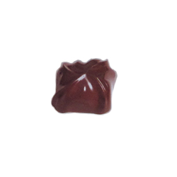 Chocolate Mold Square 28x34 mm x 15mm High, 21 Cavities