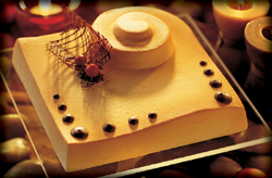 Semifreddo Assembly Mold, 2 Piece