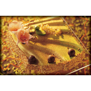Semifreddo Assembly Mold 2-piece