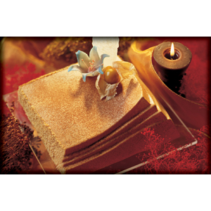 Semifreddo Assembly Mold 2-piece