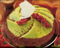 Semifreddo Assembly Mold 2-piece