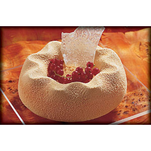 Semifreddo Assembly Mold, 2 Piece