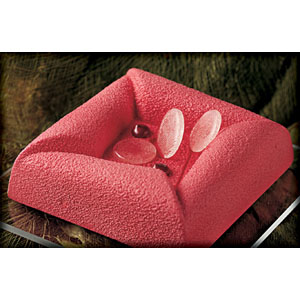 Semifreddo Assembly Mold, 2 Piece