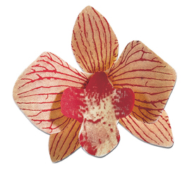 Chocolate Transfer Sheets-Orchid Flowers. (Each Sheet Makes 9 Flowers)  11x15 20 sheets per pack. Use with #ORCHID-1 and ORCHID-2