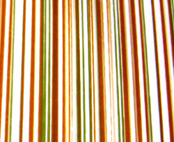 Chocolate Transfer Sheet: Tan, White & Green Stripes. 15 sheets per pack. Each Sheet 16" x 10"