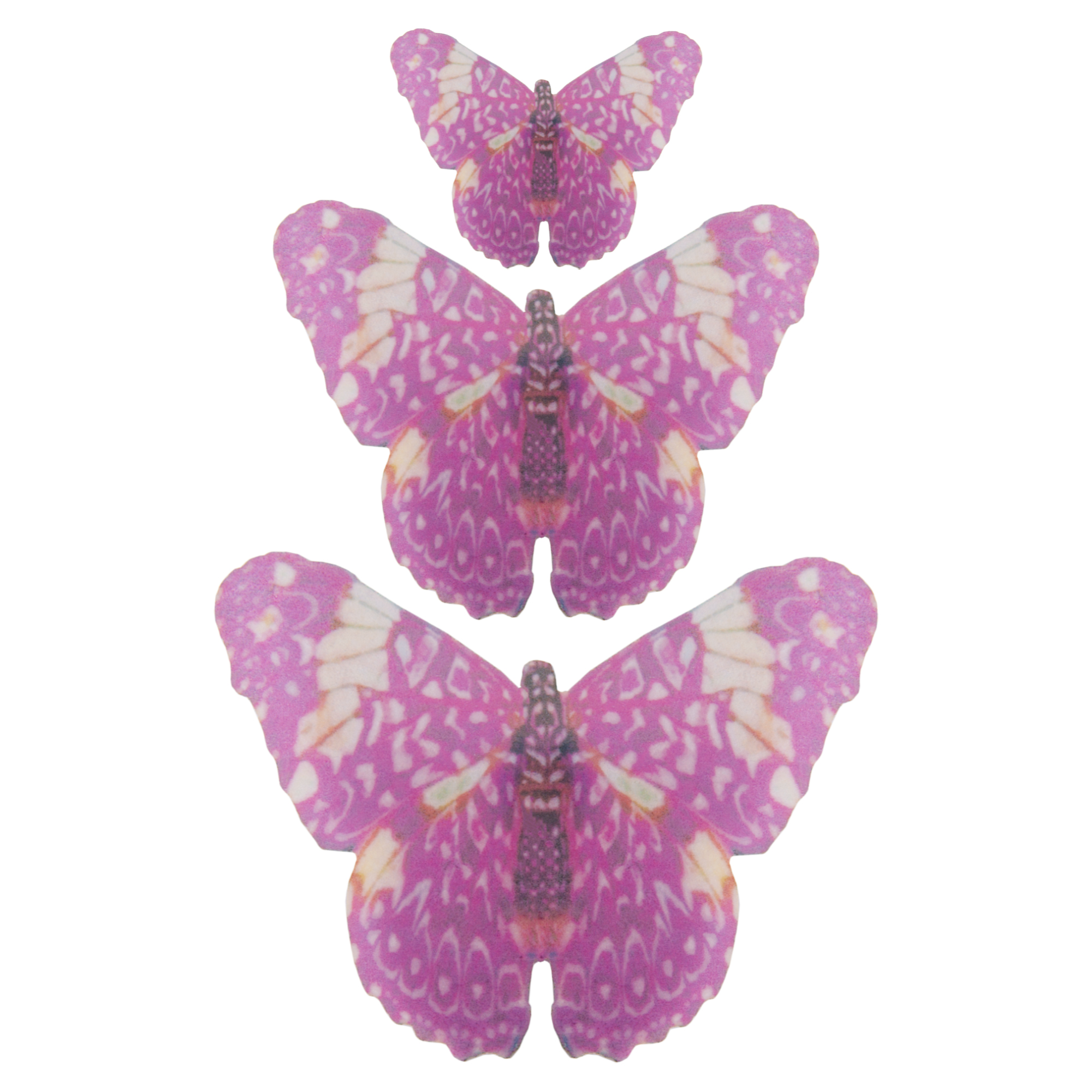Crystal Candy Sundara Edible Butterflies - Pack of 19 image 1