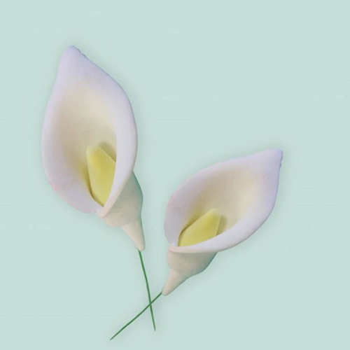 FMM Sugarcraft Flower Cutter & Veiner Set - Arum / Cala Lily image 1