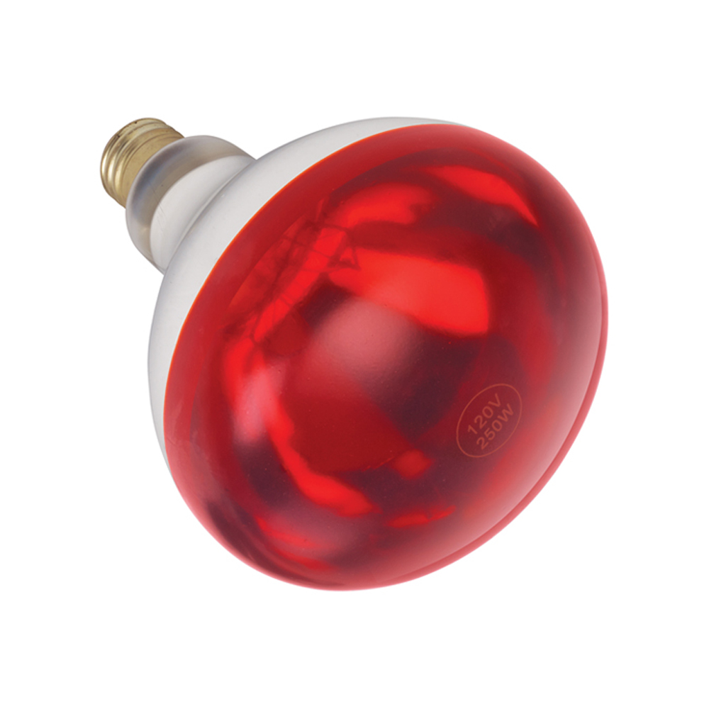 Winco Heat Lamp Bulb, for EHL-2, 250W, Red image 1