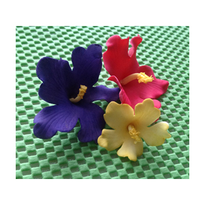 FMM Hawaiian Flowers image 1