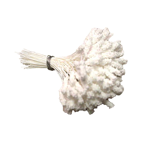 unknown Stamens, Fantasy White, Pack of 144 heads