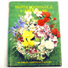 Philippine Flowers i