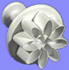 PME Daisy / Margueri