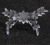 Gumpaste Stamp, Plas