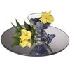 Gourmet Display Round Acrylic Mirror Tray