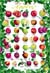 Food Poster: Modern 