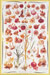 Food Poster Garlic. 
