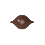 Chocolate World Clear Polycarbonate Chocolate Mold, Praline Curve, 21 Cavities