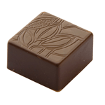 Chocolate World Polycarbonate Chocolate Mold, Cocoa Bean Square Praline, 24 Cavities