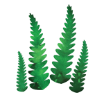 Crystal Candy Green Round Wafer Paper Ferns