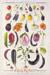 Food Poster Eggplant