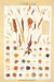 Food Poster Grains. 