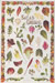 Food Poster Salad Gr