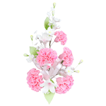 O'Creme Pink Carnation Spray Gumpaste Flower
