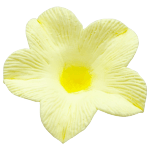 O'Creme Soft Yellow Petunia Gumpaste Flowers, Pack of 6