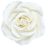 O'Creme White Garden Rose Gumpaste Flowers, 2" - Set of 8