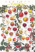 Food Poster Apples-C