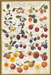 Food Poster Stone Fr