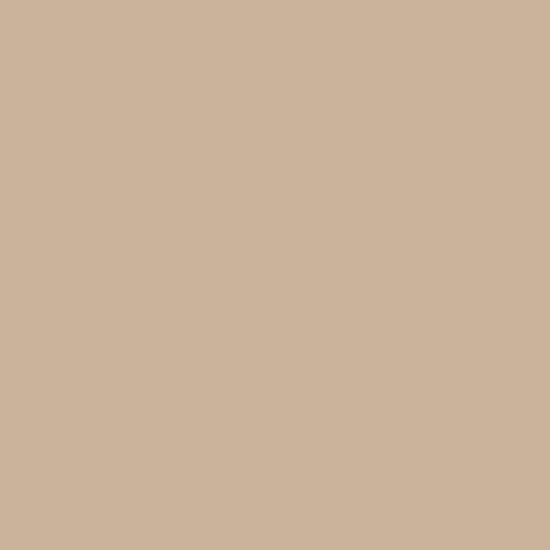 Sugarpaste Antique Gold Pearl Luster Dust, (25) Grams