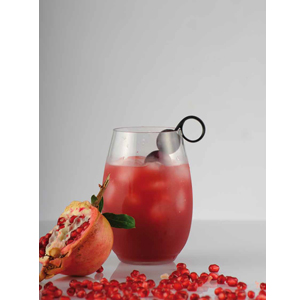 Transparent Plastic Glasses, (17.2 oz) - Pack of 6