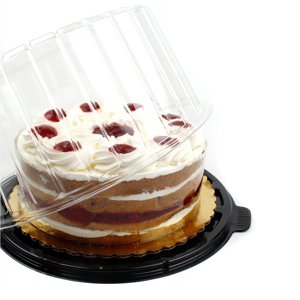 Plastic Container for 10 Round Layer Cake, Pack of 10 Cake Boxes