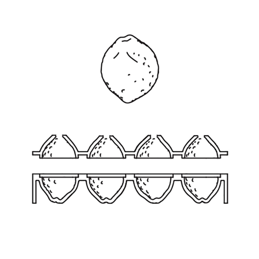 Cedric Grolet by Pavoni Silicone CITRON Mold, 53mm Dia. x 70mm H, 8 Cavities image 1
