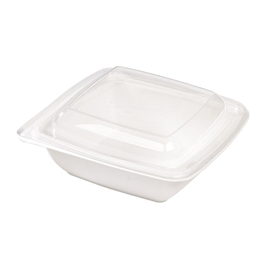 Packnwood Square Sugarcane Salad Bowl, 25 oz, 7.7" x 1.9" H, Case of 300 image 1