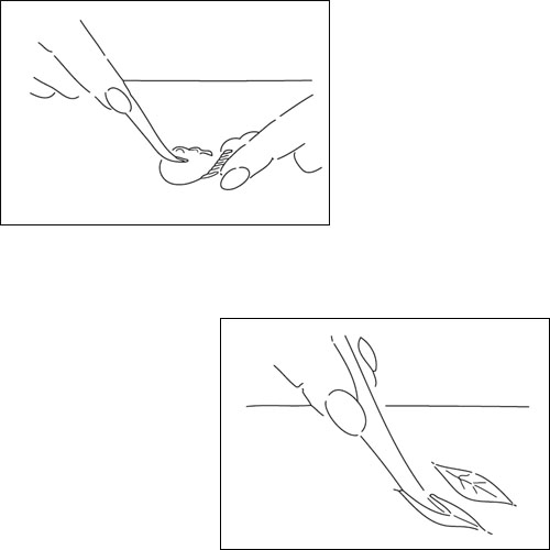 JEM Cutters Tool 4, Dresden & Veining image 1