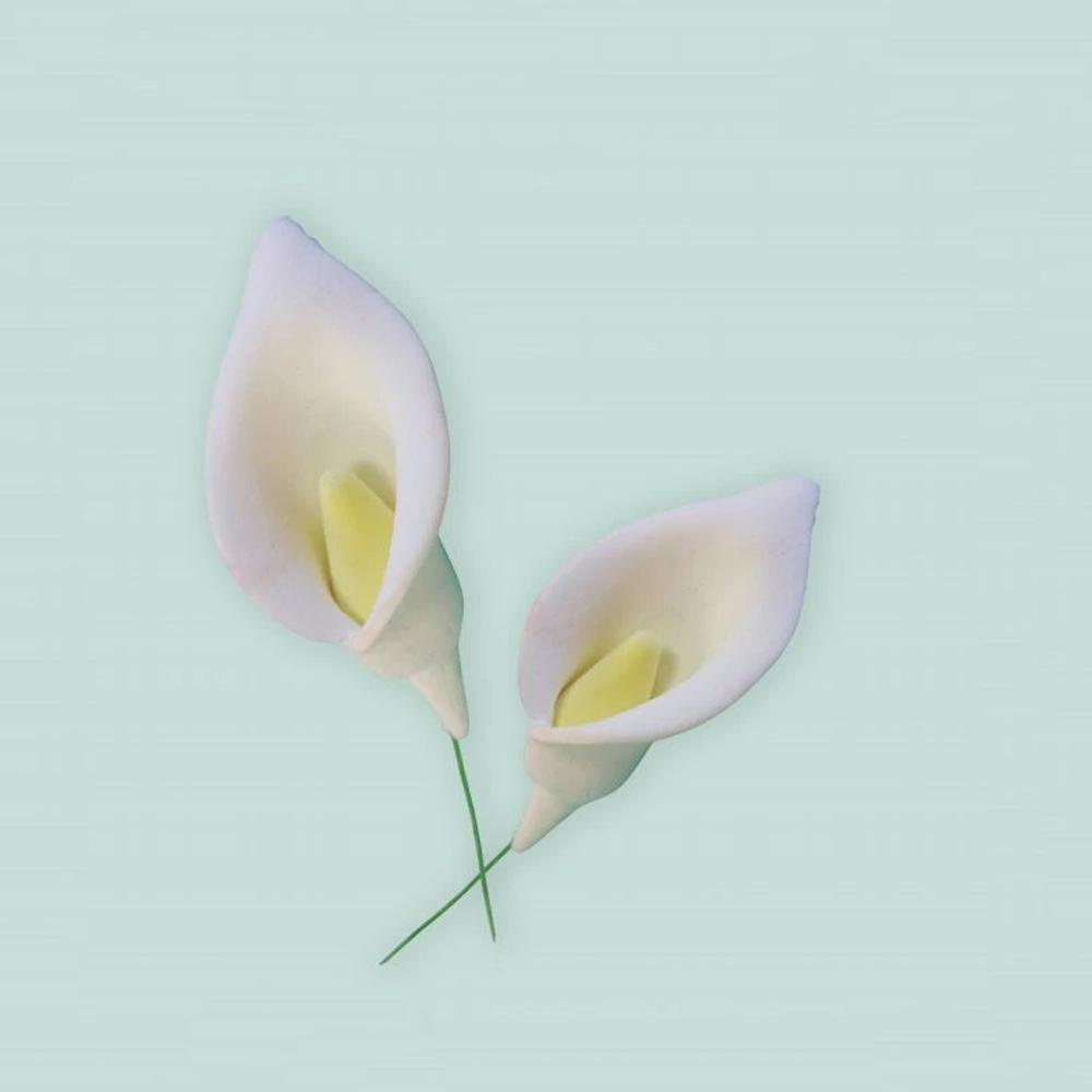 FMM Sugarcraft Flower Cutter & Veiner Set - Arum / Cala Lily image 1