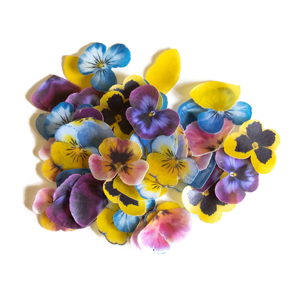 Crystal Candy Make a Pansy Edible Flower Kit - Pack of 25 image 1
