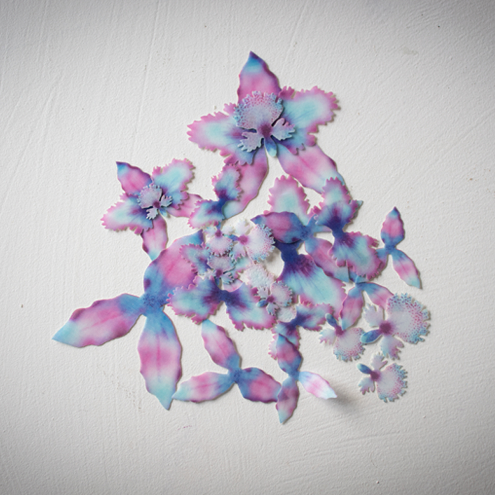 Crystal Candy Blue Fuse Exotic Orchid Flower Kit - Pack of 9 image 2