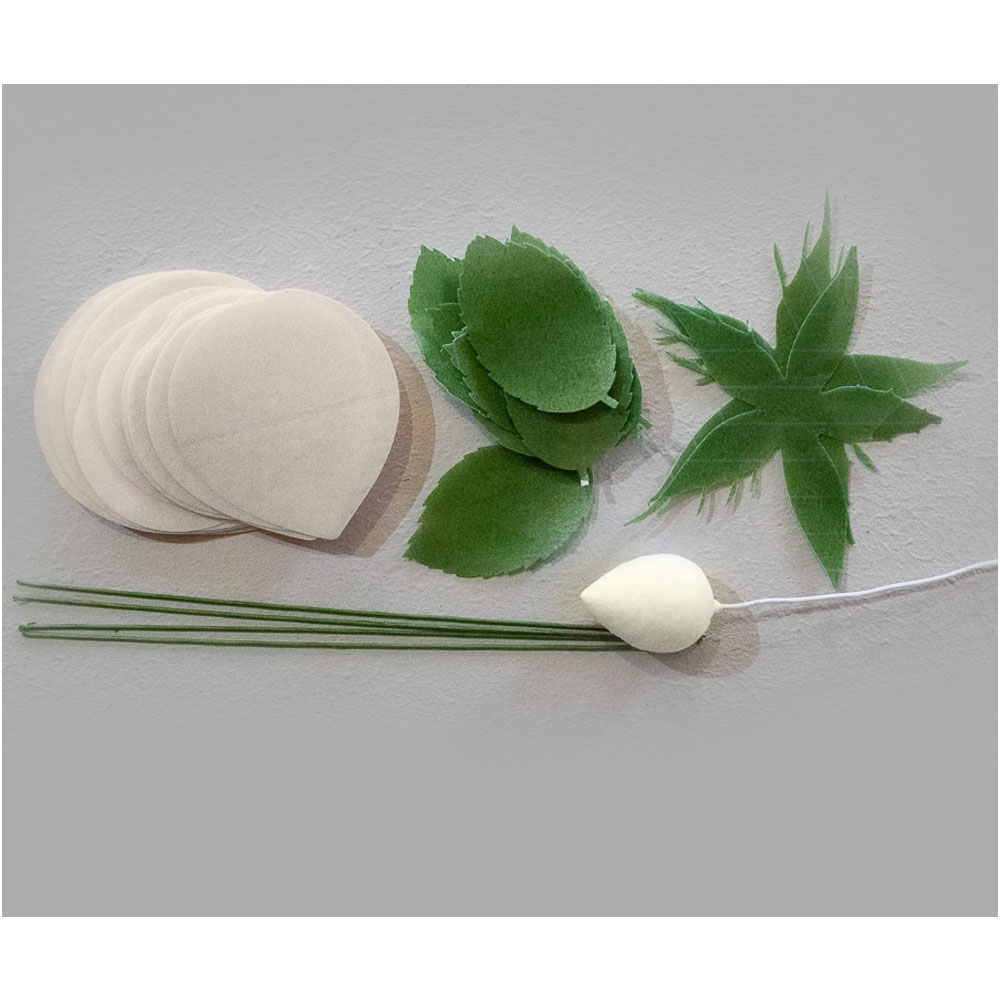 Crystal Candy White Rose Edible Flower Kit image 2