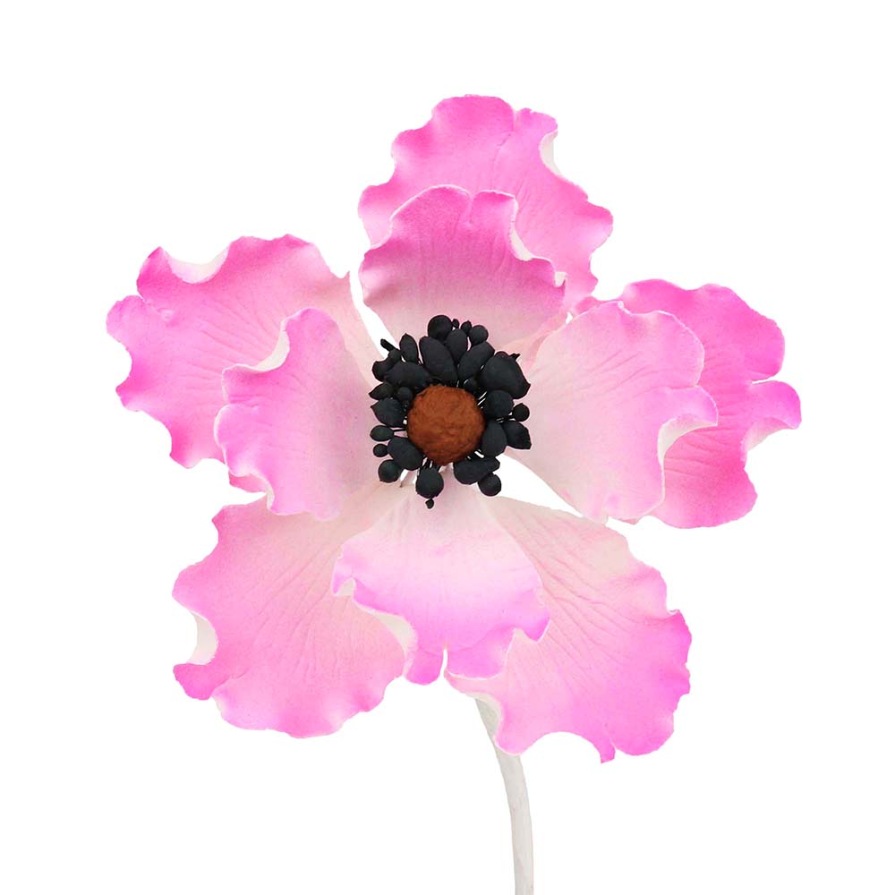O'Creme Pink Anemone Gumpaste Flowers, Set of 6 image 1