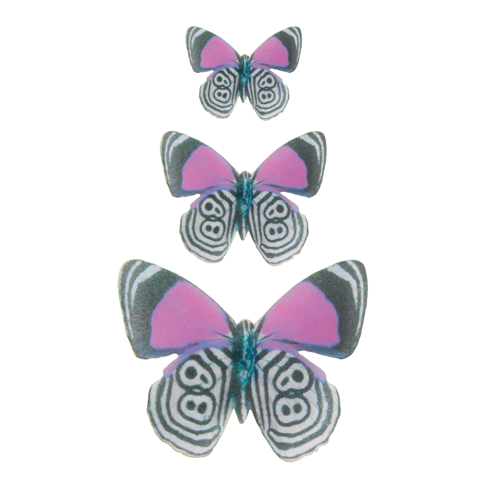 Crystal Candy Baudelaire Edible Butterflies, Pack of 19 image 1