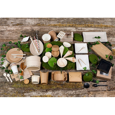 Packnwood Rectangular Brown Sugarcane Plate, 10" x 5", Case of 500 image 2