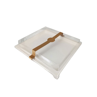 Packnwood Atlas Sugarcane Tray, 10.5" x 10.75", Case of 200 image 2