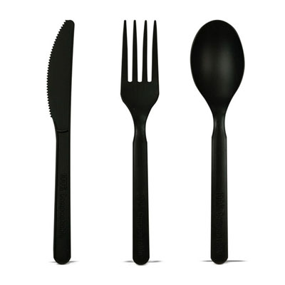 Packnwood Compostable & Heat Proof Black Spoon, 6", Case of 1000 image 2