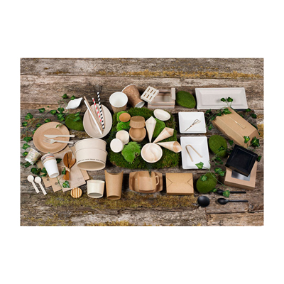 Packnwood Bio 'n' Chic Rectangular Sugarcane Platter, 15.3" x 11.4", Case of 50 image 4