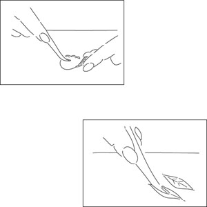 JEM Cutters Tool 4, Dresden & Veining image 1