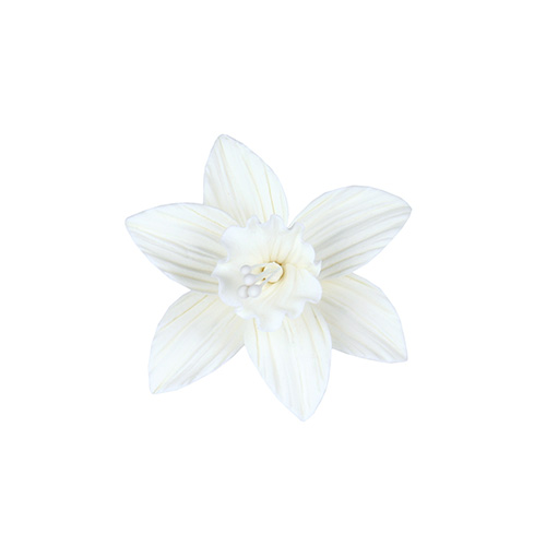 White Daffodil Gumpaste Flowers - Set of 6 image 1