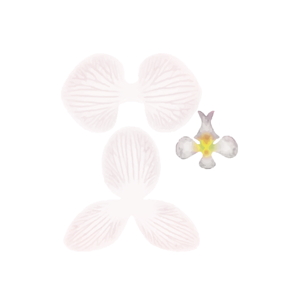 Crystal Candy White Orchid Edible Flower Kit - Pack of 9 image 1